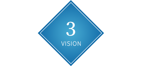 VISION3